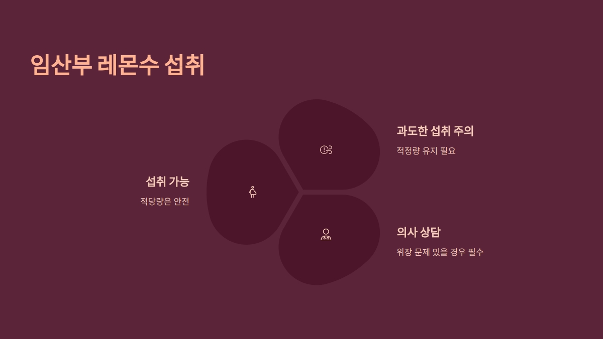 레몬수 만드는 법