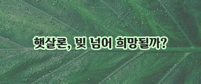 근로자 햇살론 대납 재대출 추가 자금 마련 방법을 알아봐야 합니다!