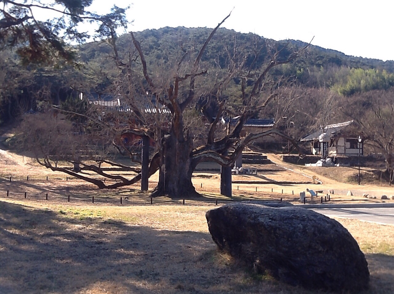  한국의 서원, 달성 도동서원