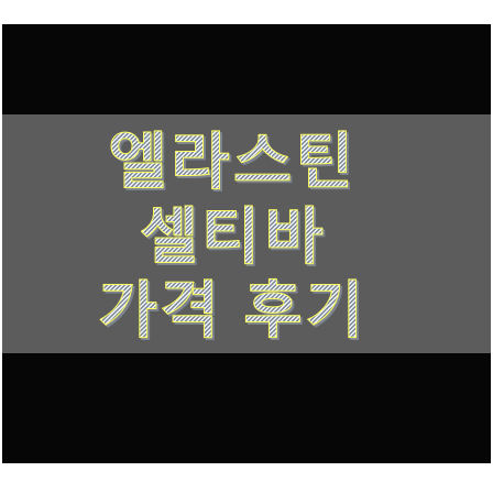  먹는 엘라스틴 셀티바 후기 효능 가격