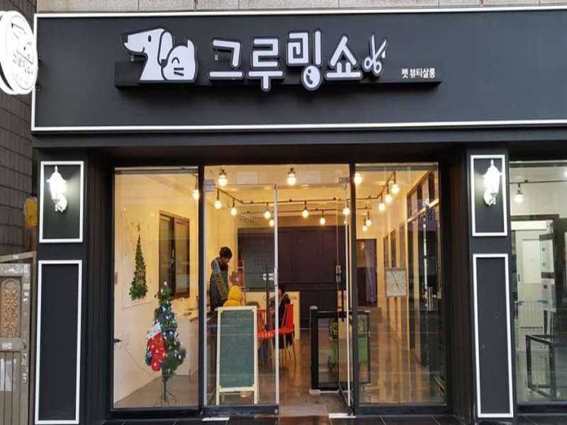1호선 가능역 애견미용 잘하는 곳 BEST4 | 고객 후기 | 가격비교 | 애견미용샵 추천 | 강아지 미용 | 목욕 서비스 총정리 - 2. 그루밍쇼 소개 2. 그루밍쇼 소개