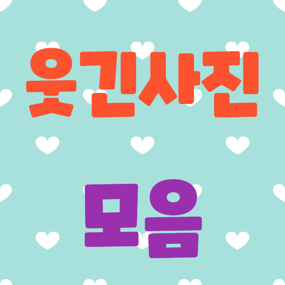  웃긴사진 모음
