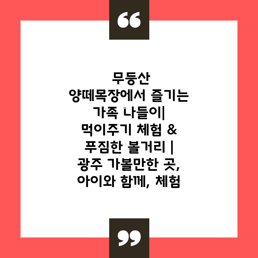  무등산 양떼목장에서 즐기는 가족 나들이 먹이주기 체험