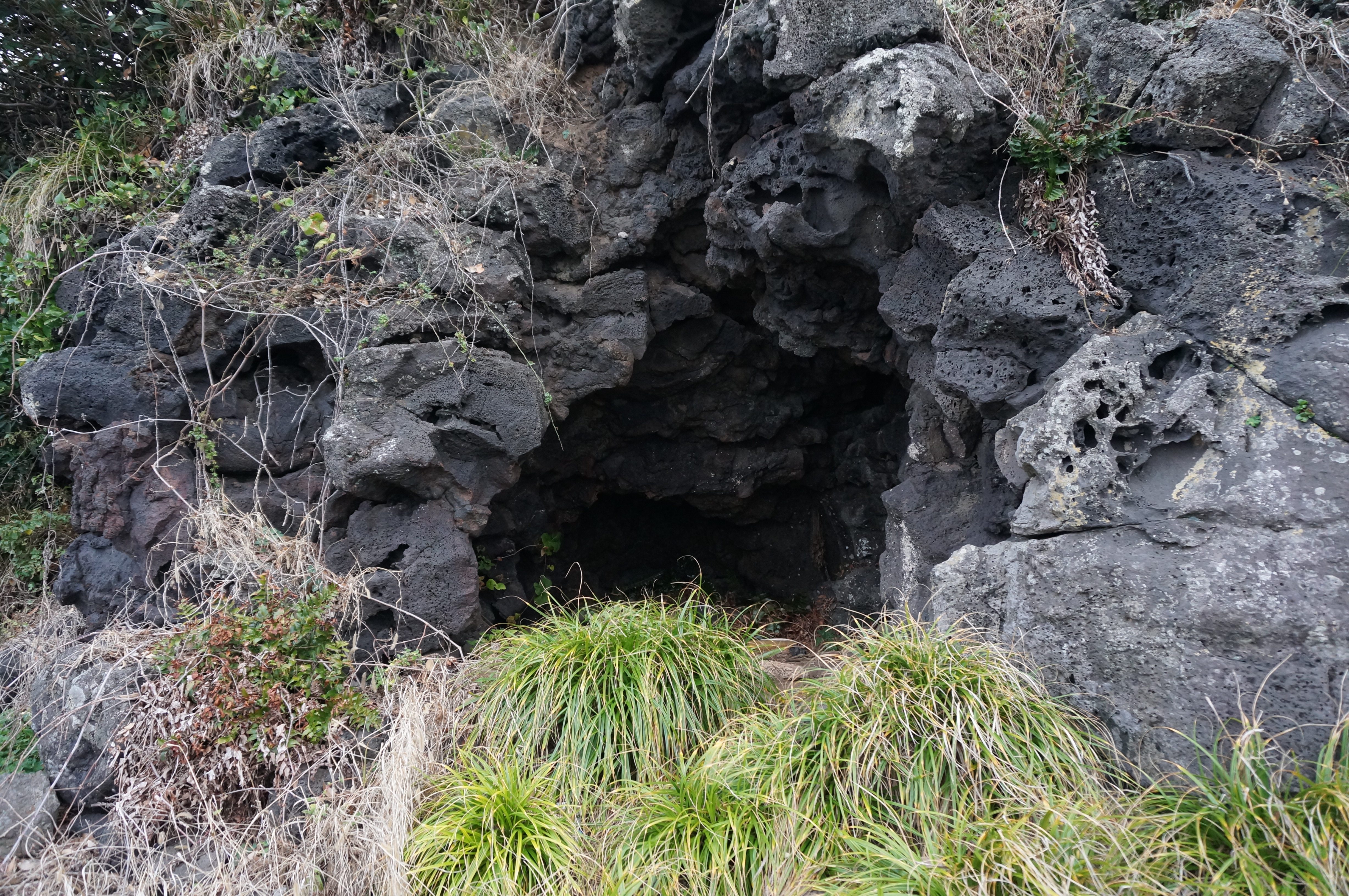 해안 동굴