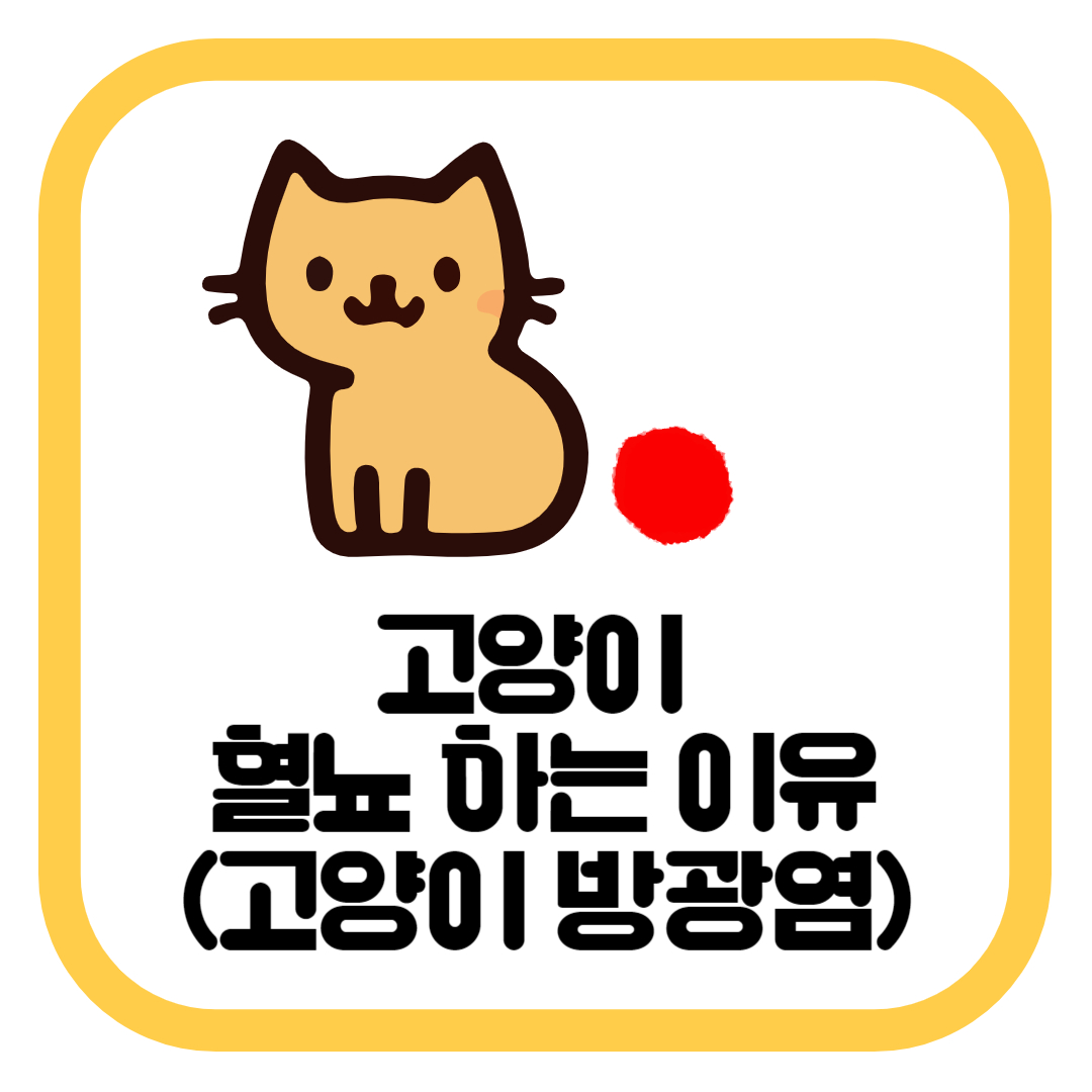 고양이 혈뇨 하는 이유