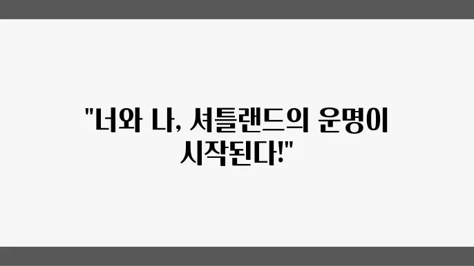 셔틀랜드쉽독분양 가족이 되는 순쁌