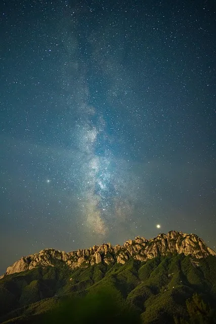 강원도 묵호 여행 묵호항 수산시장 등대 명소_2