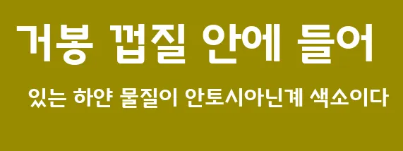 거봉 껍질 안에 들어 있는 하얀 물질이 안토시아닌계 색소이다