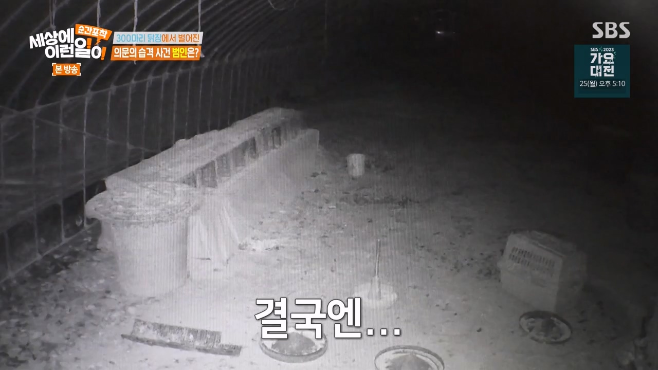 순간포착 세상에 이런일이.E1257.231224p-NEXT.mp4_20231224_180235.805.jpg