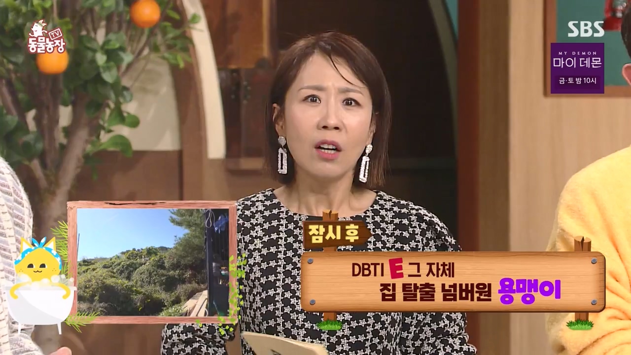 TV 동물농장.E1147.231127p-NEXT.mp4_20231126_170345.789.jpg