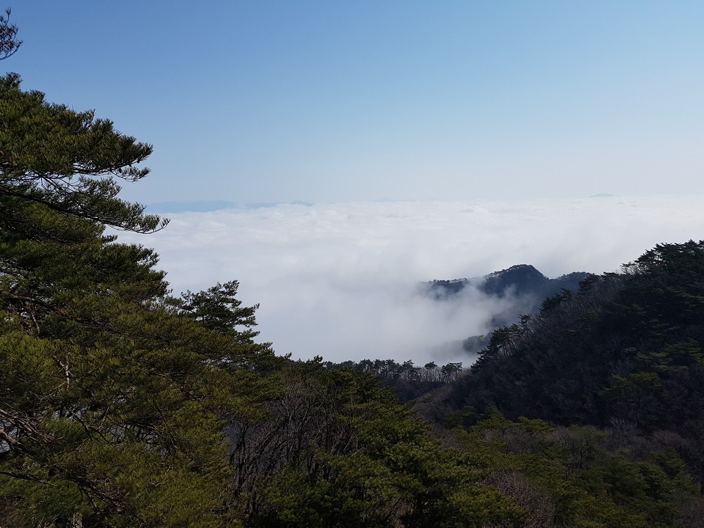 충주 보련산