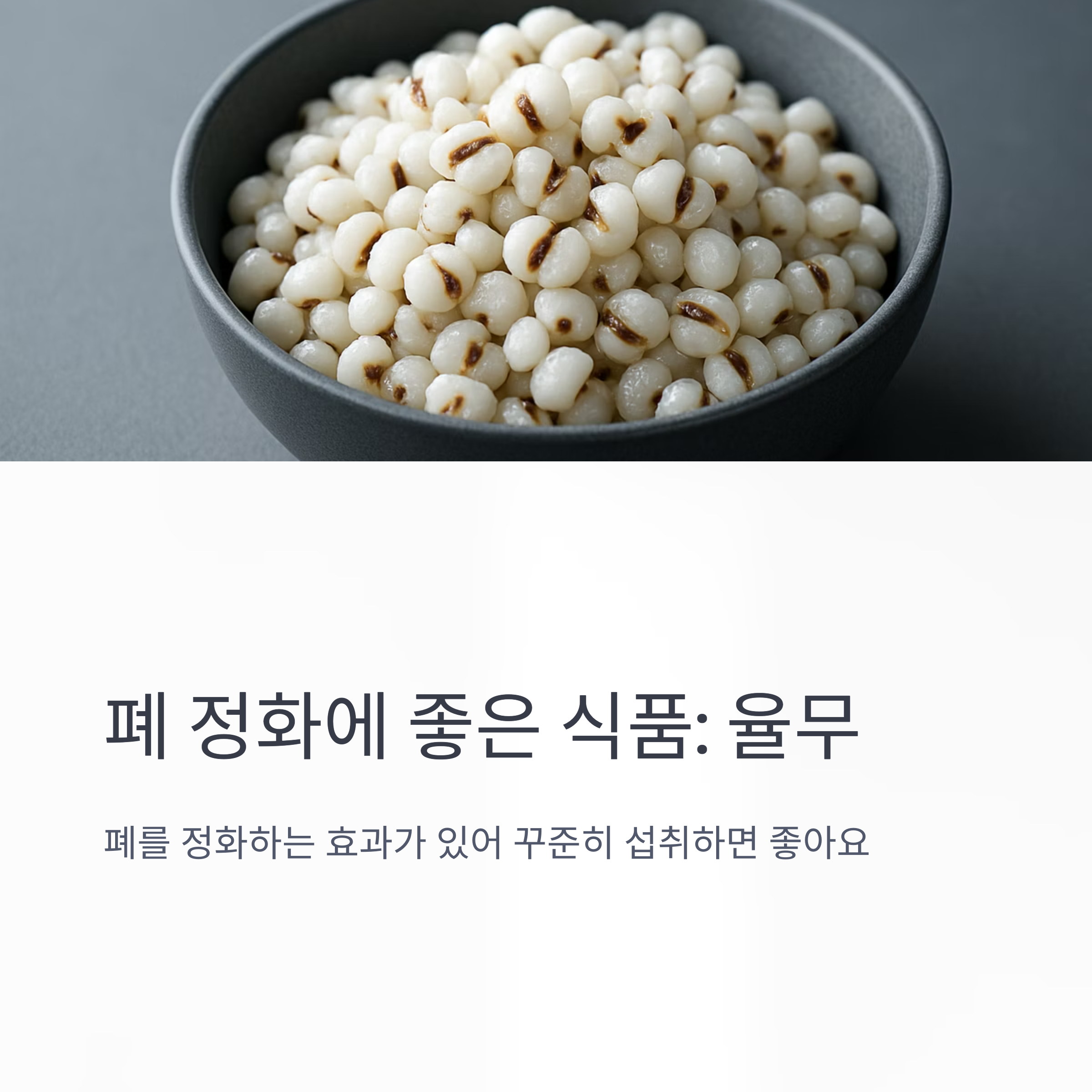 좋은숨편한숨 이미지