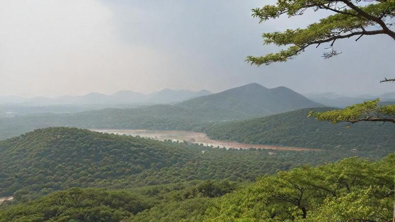 경상북도 산불 피해 현황