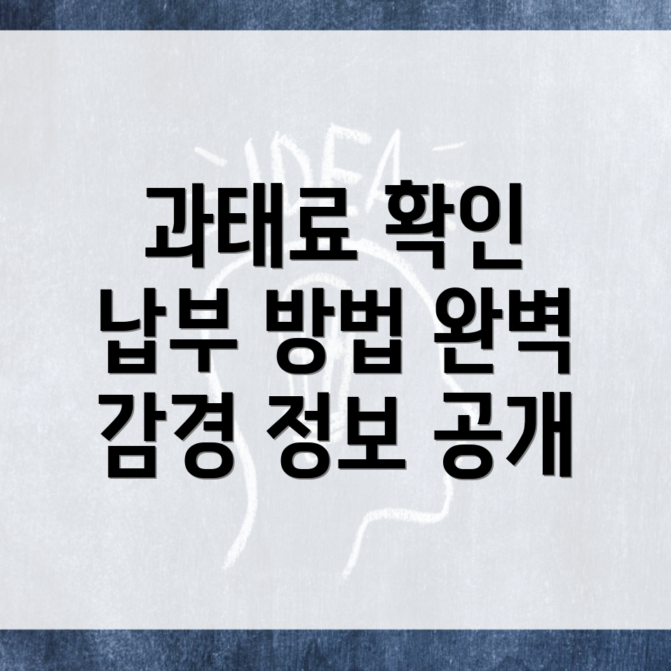 자동차 검사 과태료