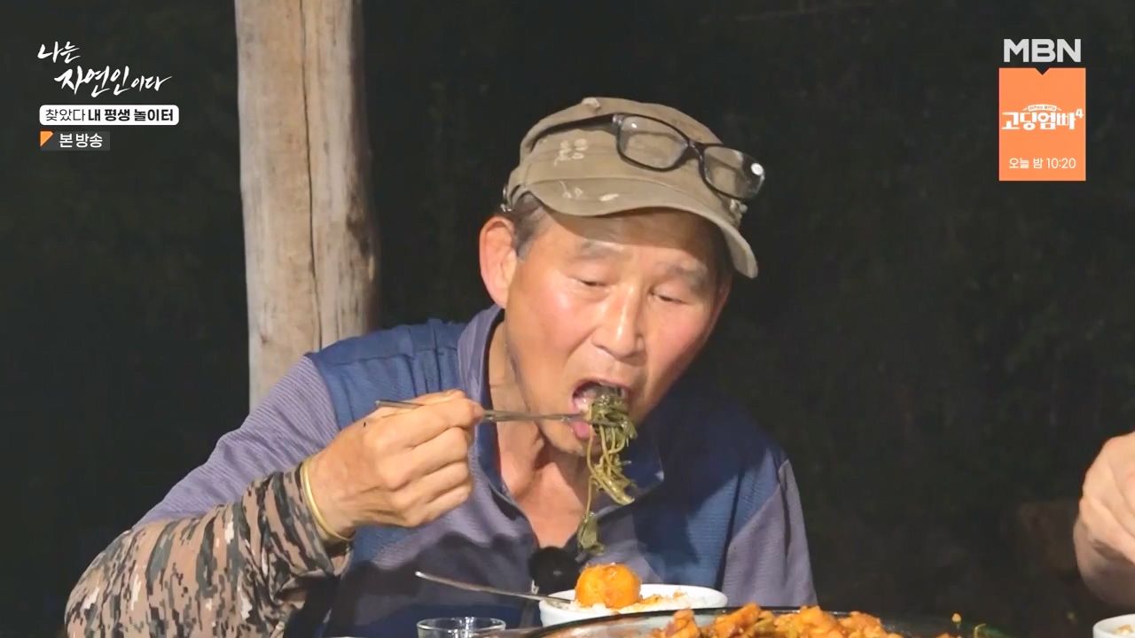 나는 자연인이다.E569.230831p-NEXT.mp4_20230831_201808.268.jpg
