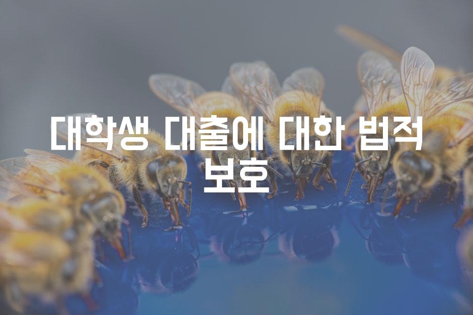 API 할당량 초과 오류 9