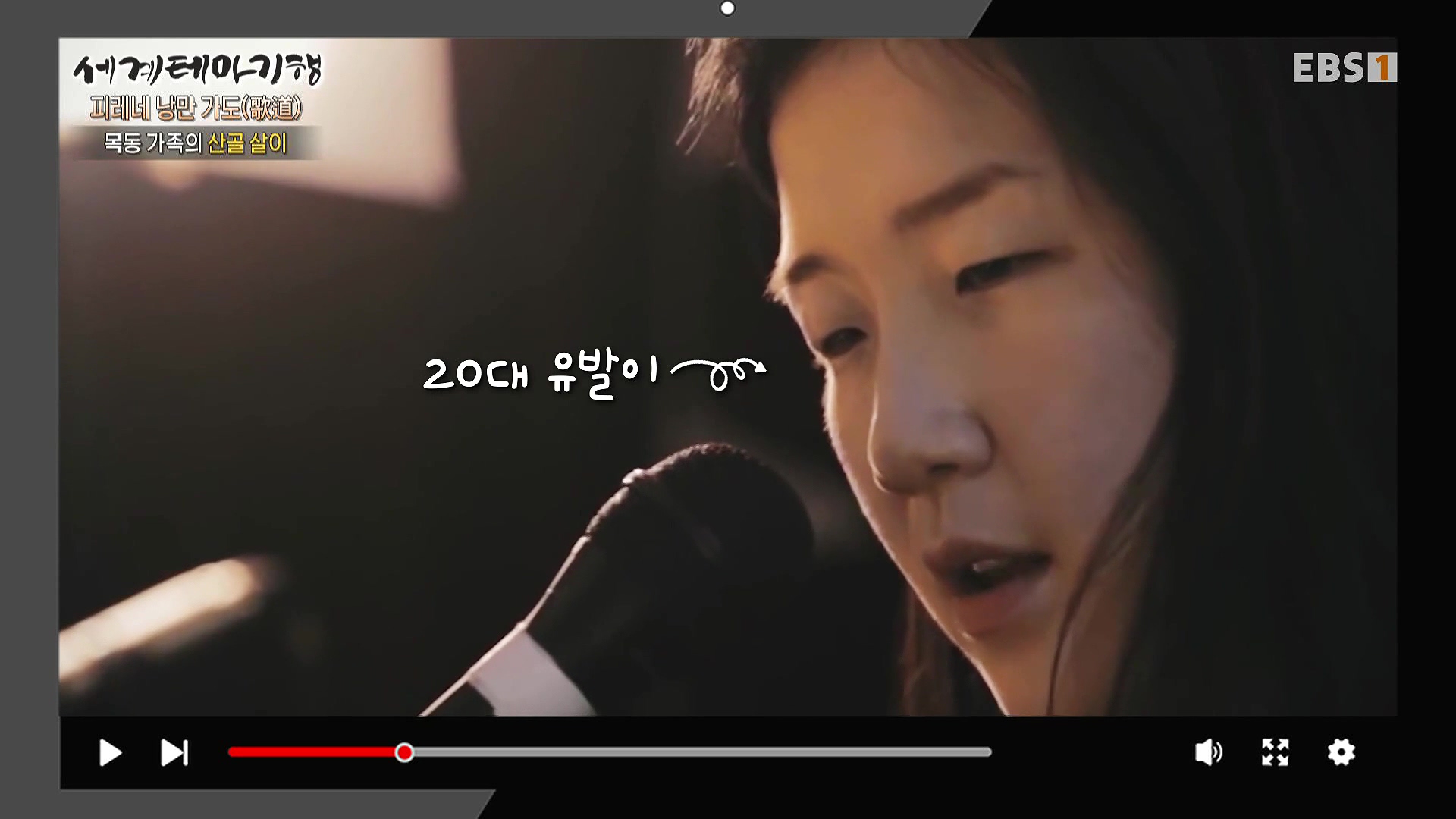 세계테마기행 231225 피레네 낭만 가도(歌道) -요정의 길을 따라, 비뉴말 트레킹0p.mp4_20240628_203830.770.jpg