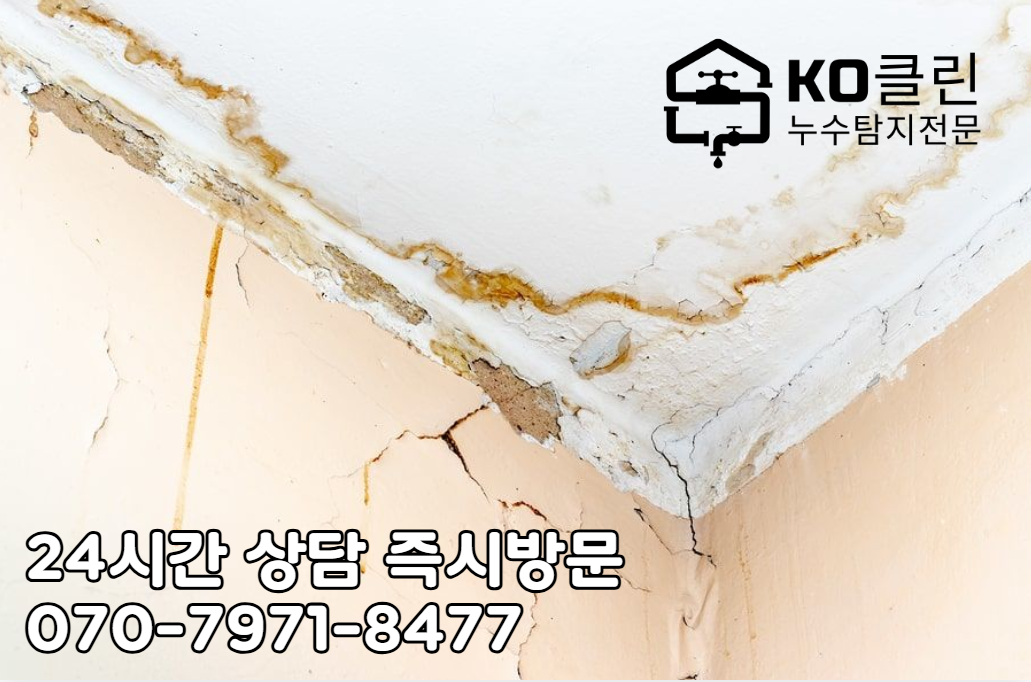 일산 킨텍스 지역 누수 탐지2