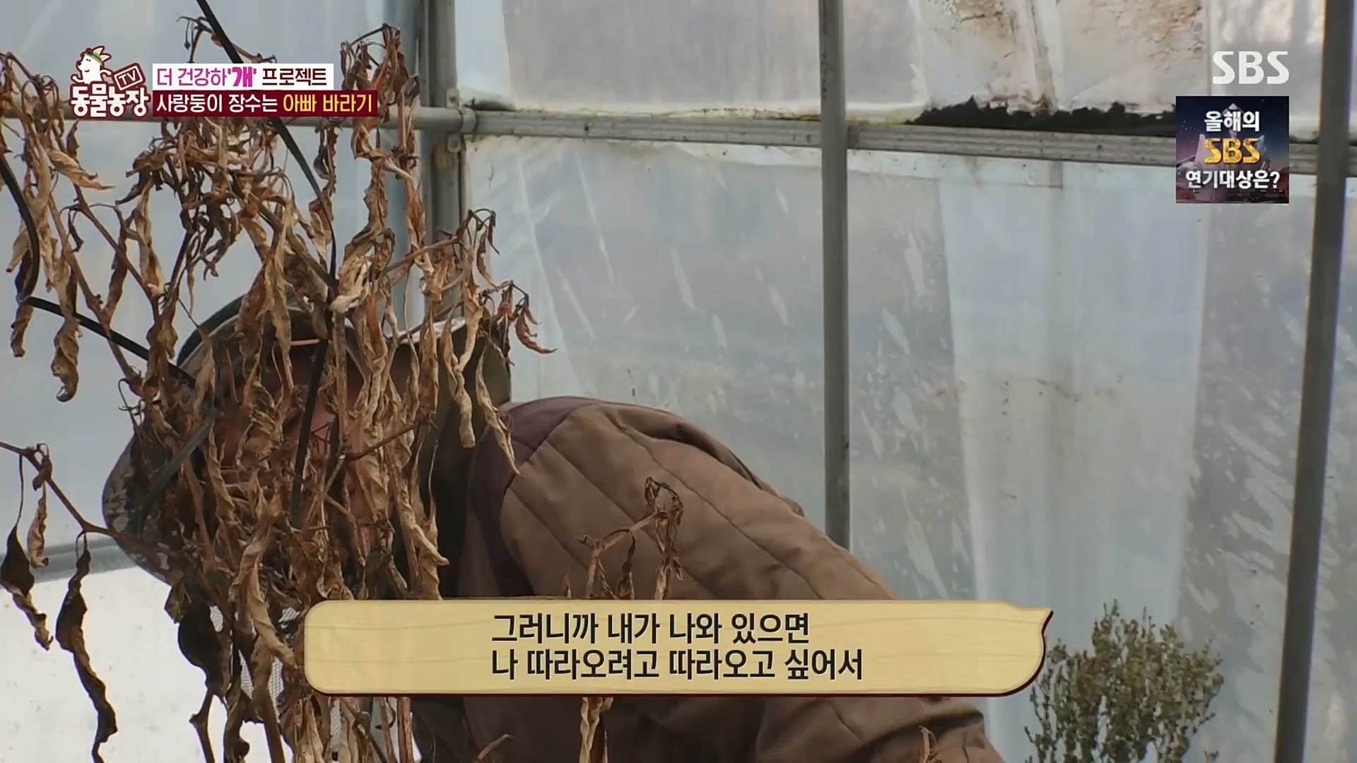 TV 동물농장.E1101.221225p.H264-F1RST.mp4_20221225_190246.461.jpg