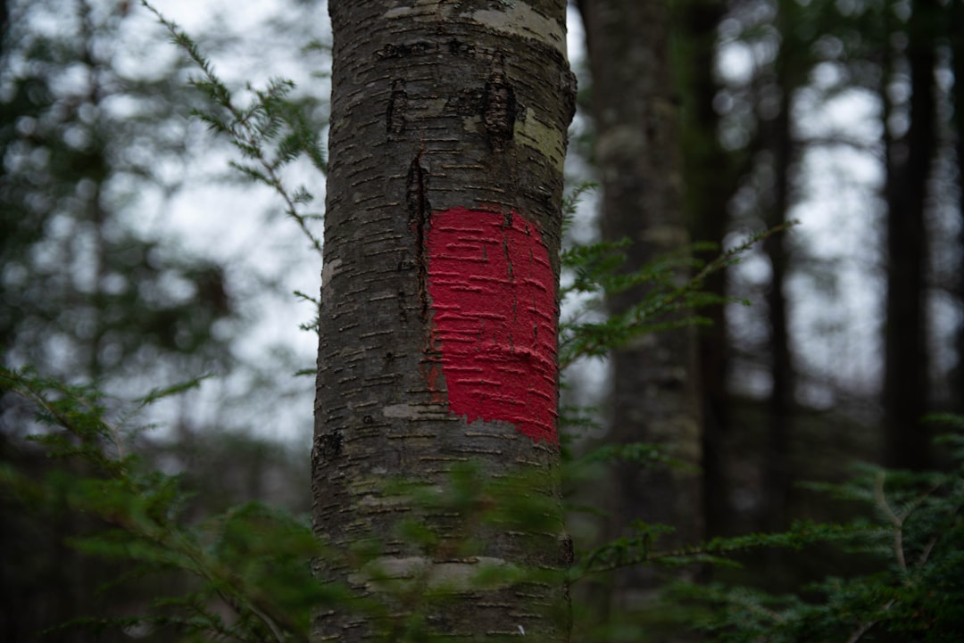 Marker