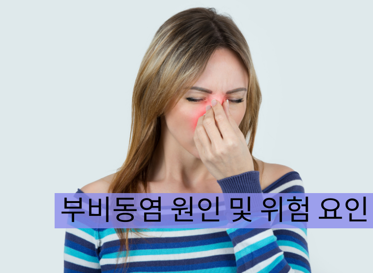 부비동염 원인