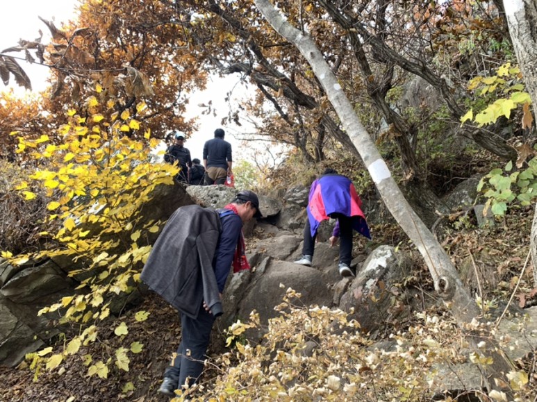 오서산 최단코스 [BAC 100대명산 / 보령 오서산 최단코스] 오서산자연휴양림 ~ 월정사 58