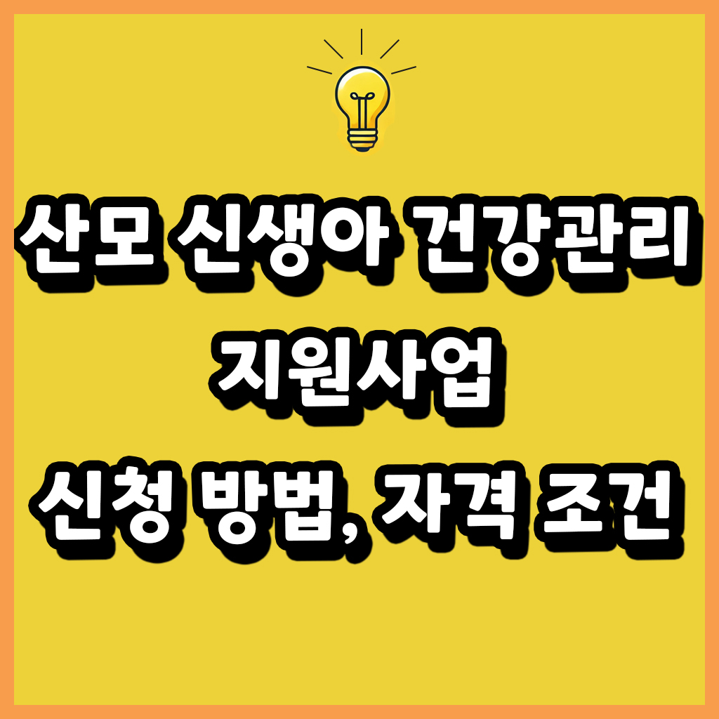산모 신생아 건강관리 지원사업