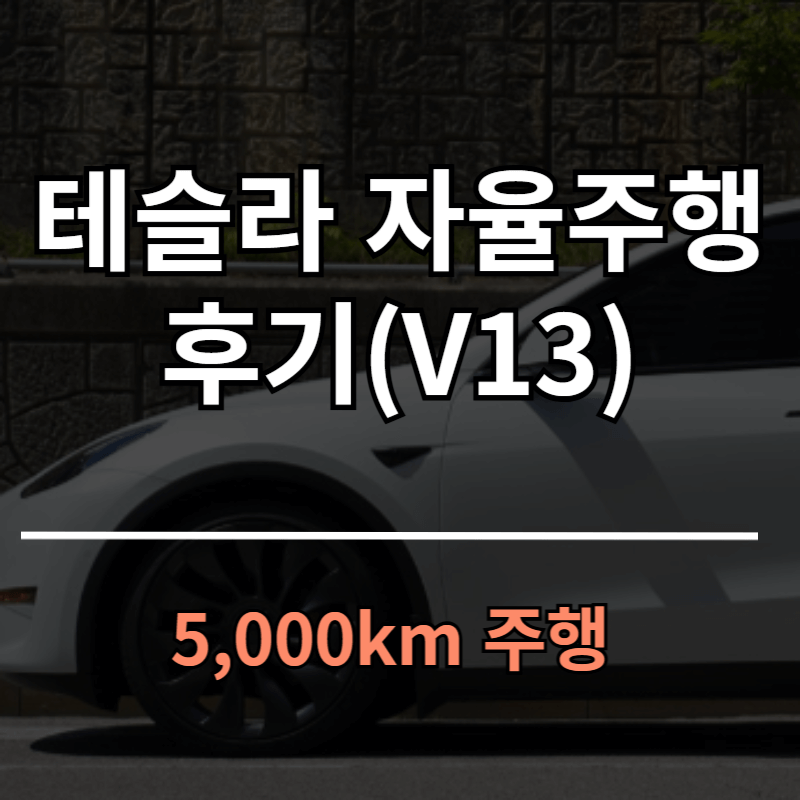 테슬라 자율주행(FSD v13) 미국 장거리 여행 후기