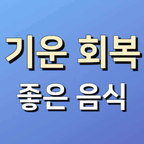 기운 회복 좋은 음식