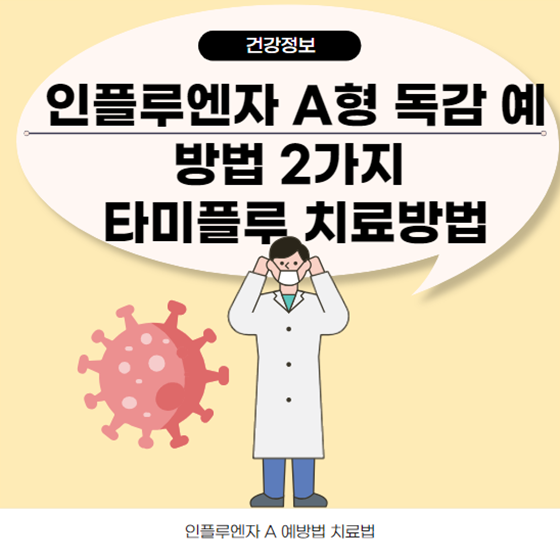  인플루엔자 A형 독감 예방법 2가지 타미플루 치료방법