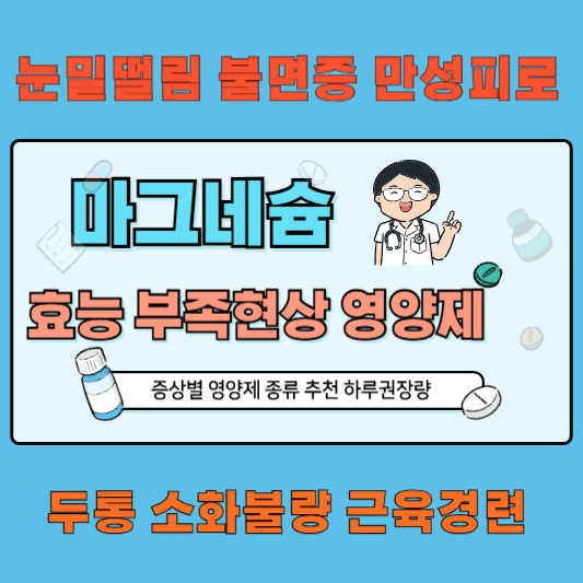 마그네슘 효능 부족현상 영양제 종류