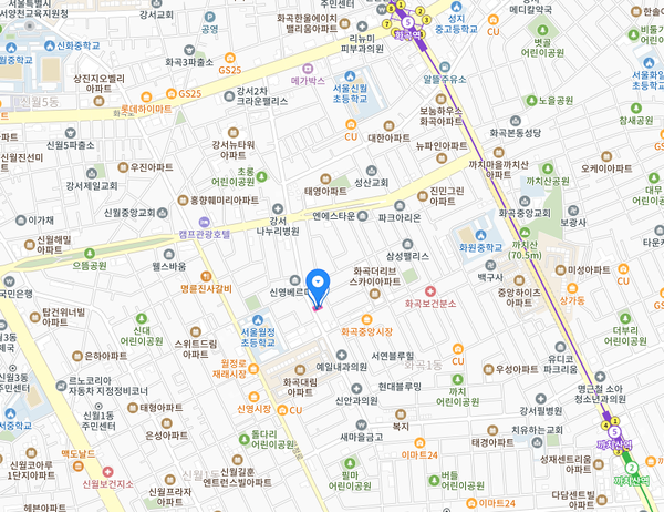  [급매]서울시 강서구 화곡동 올근생 건물 매매