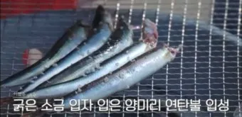 양미리 조림 레시피 및 맛있게 만드는 법_7