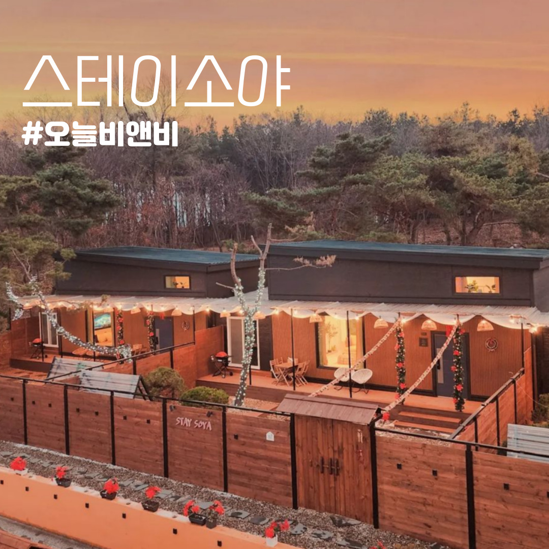 스테이소야 이미지