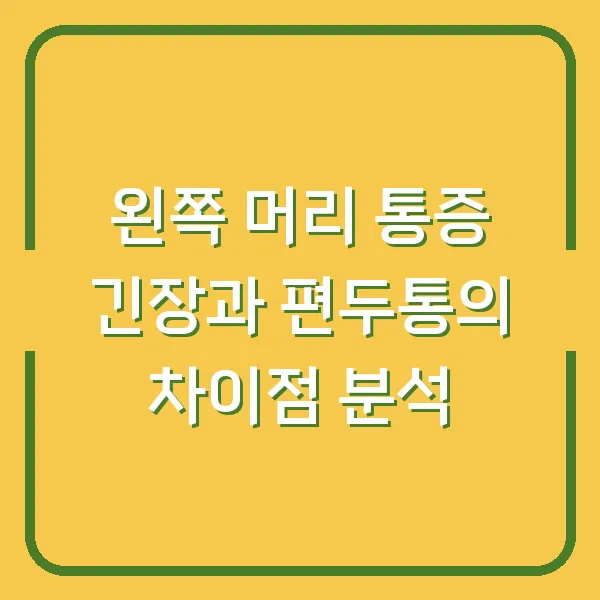 왼쪽 머리 통증 긴장과 편두통의 차이점 분석
