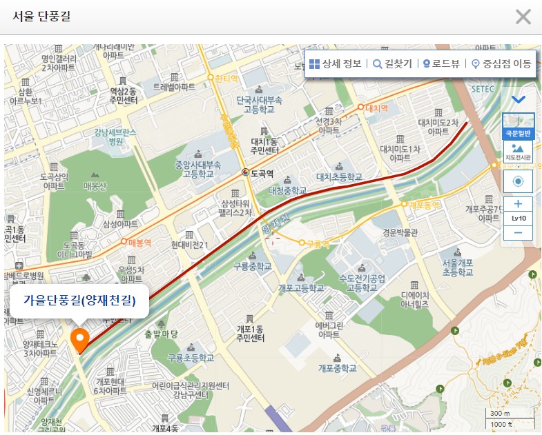 우리동네-단풍길-양재천길-지도표시
