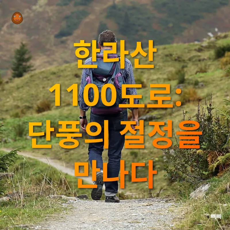 한라산 드라이브_1