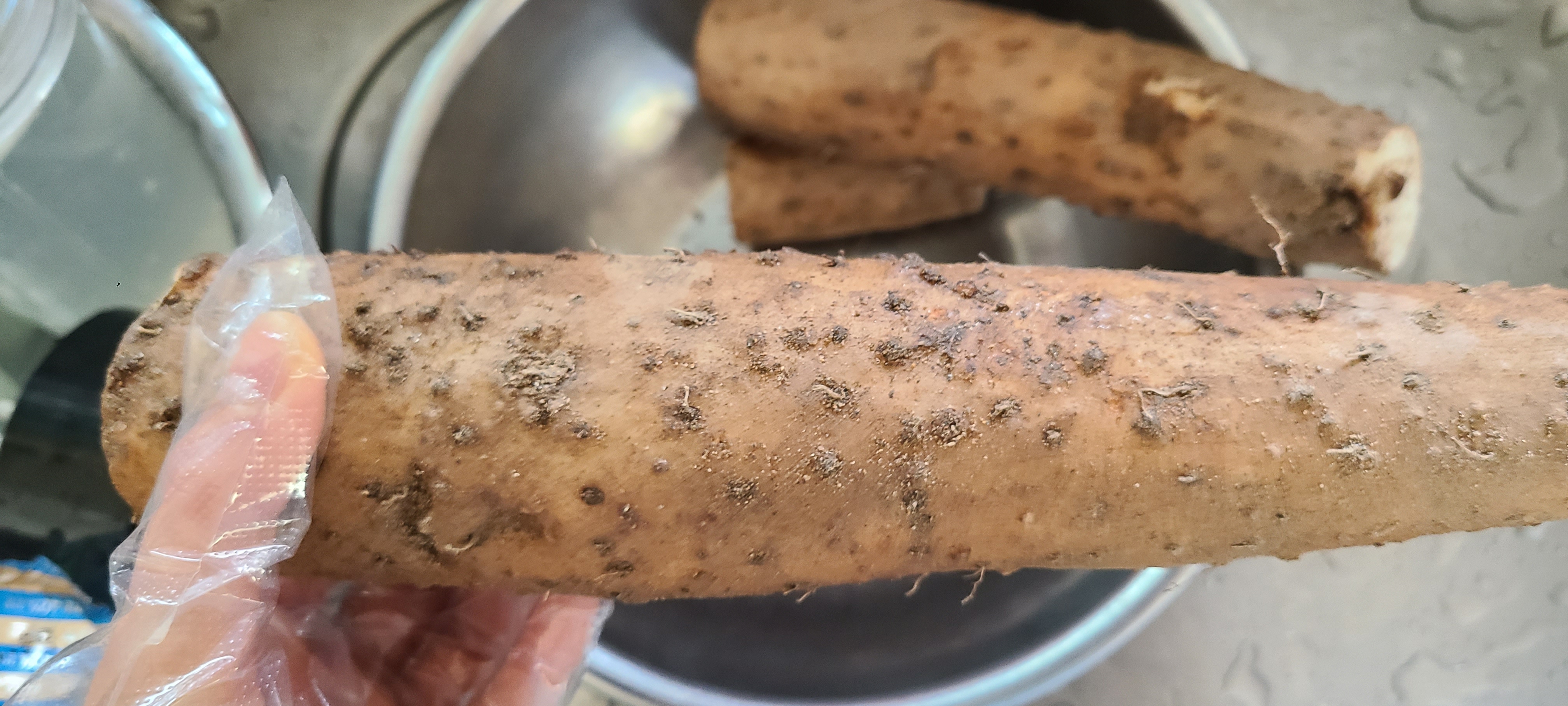  산에서 나는 장어라 불리는 마의 효능과 부작용 보관법