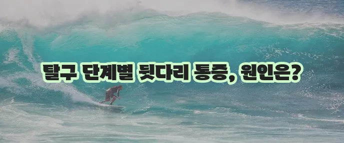 강아지 슬개골 탈구 단계 뒷다리 통증 원인 확실히 알아봐야 합니다!