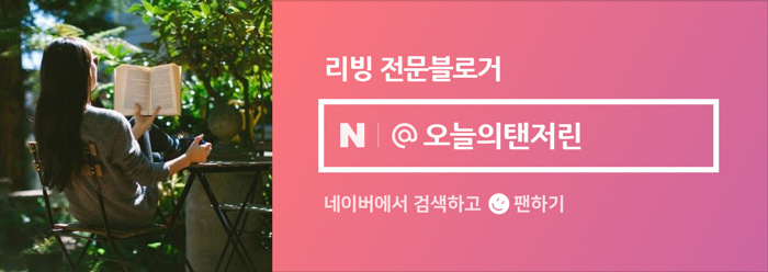 한 달 동안 집에서 양상추를 기른다. 상추 수확하기, 상추 따기, 미소 기르기, 그리고 왜 쓴 맛인지 13