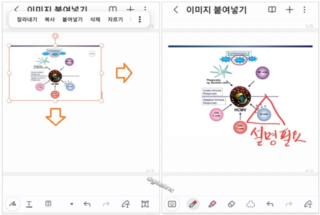 이미지 크기를 조절하고 메모를 하니다.