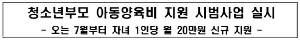 청소년부모 아동양육비 지원사업