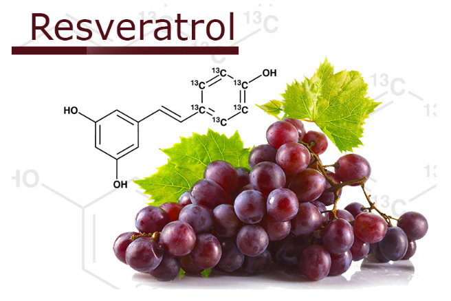 적포도주에 들어 있는 레스베라트롤 / 출처 : (사진 출처-http://ko.rebeccabio.com/info/benefits-and-effects-of-resveratrol-37221896.html)
