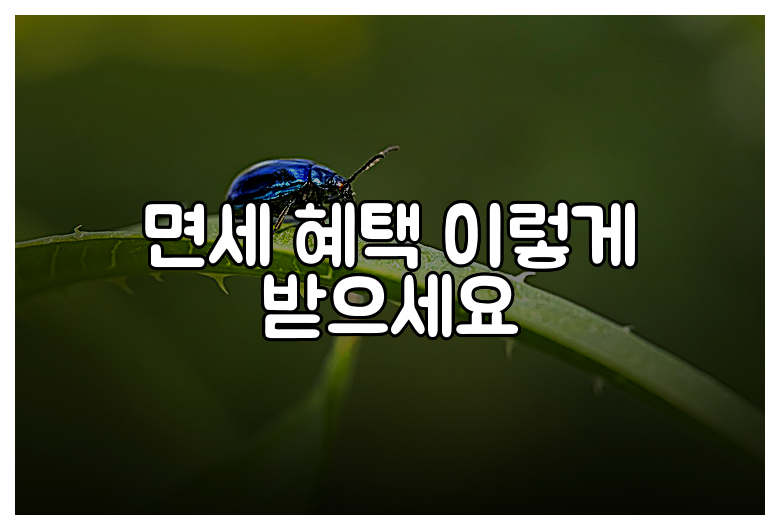 면세 혜택 이렇게 받으세요
