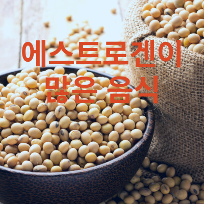 높은 에스트로겐 식품
