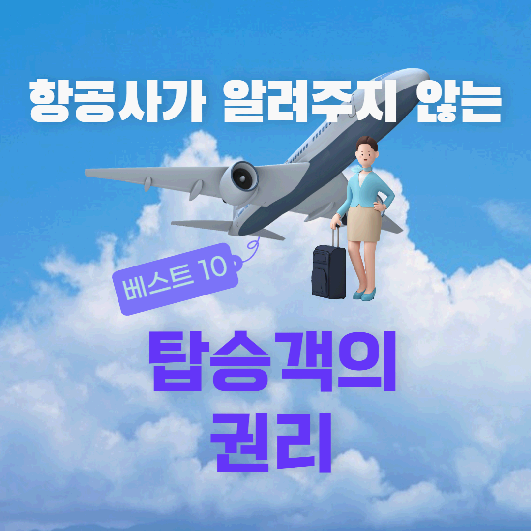  [여행 정보] 항공사가 알려주지 않는 탑승객(여행객)의 권리