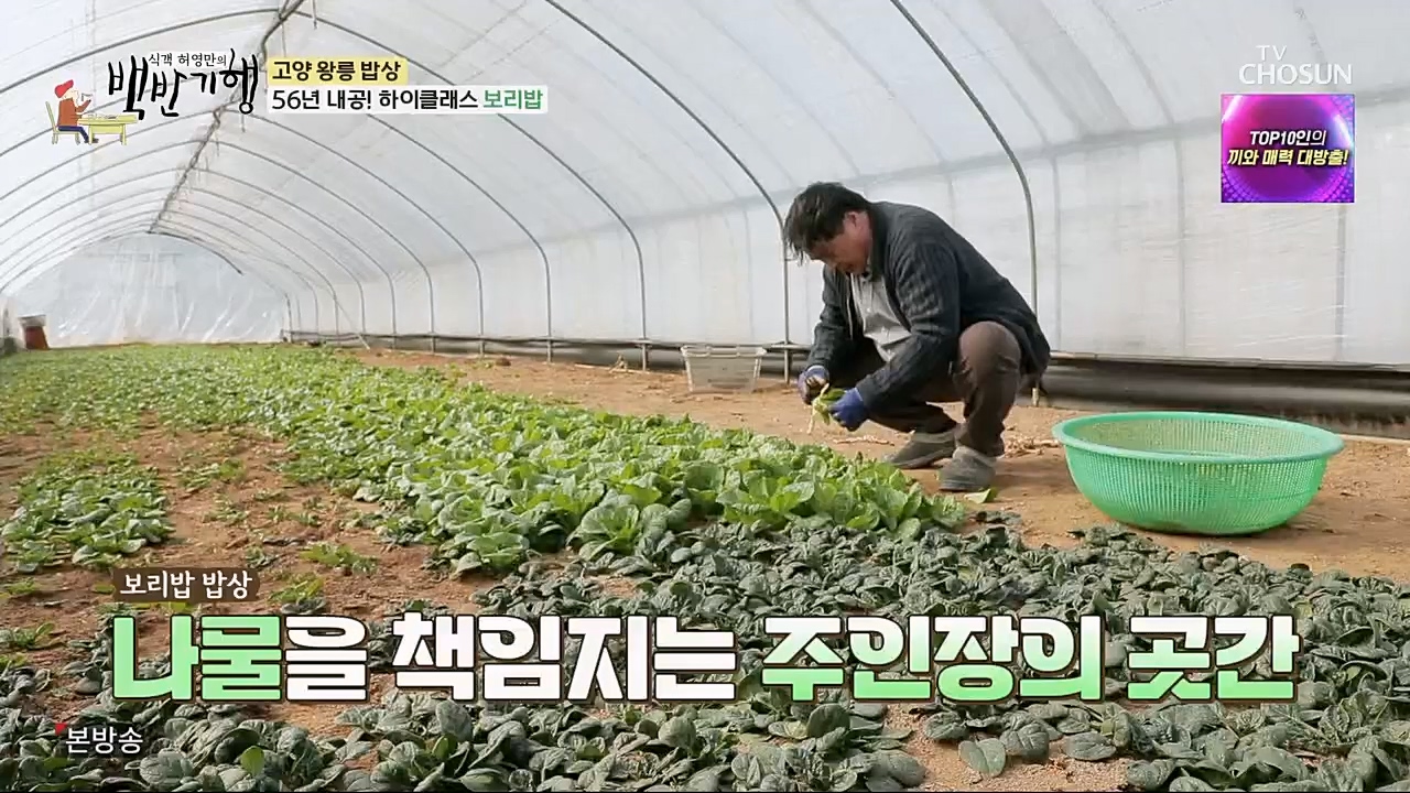 식객 허영만의 백반기행.E191.230304p.H264-F1RST.mp4_20230304_174748.944.jpg