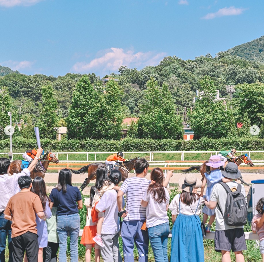 렛츠런 파크 서울 벚꽃 축제