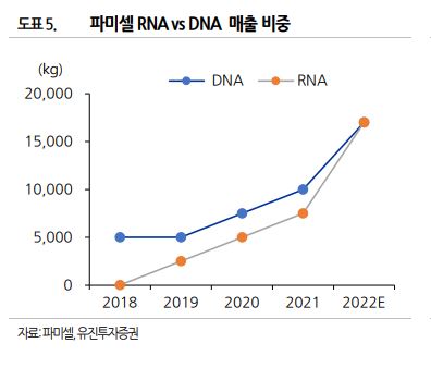 파미셀 RNA와 DNA 매출 비중을 보여주는 그래프입니다