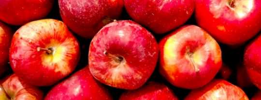 당뇨에 좋은 과일 - 사과